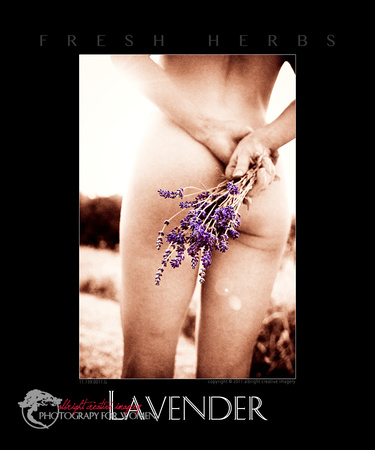 lavender 11.139.0011
