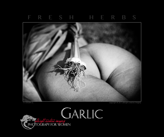 garlic 11.139.0041