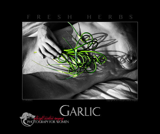garlic 11.139.0036